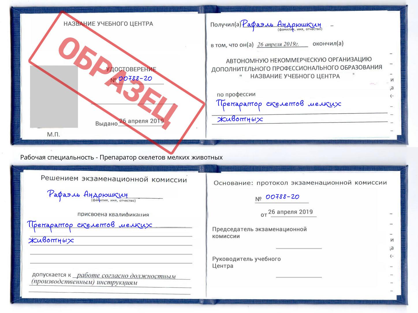 Препаратор скелетов мелких животных Астрахань