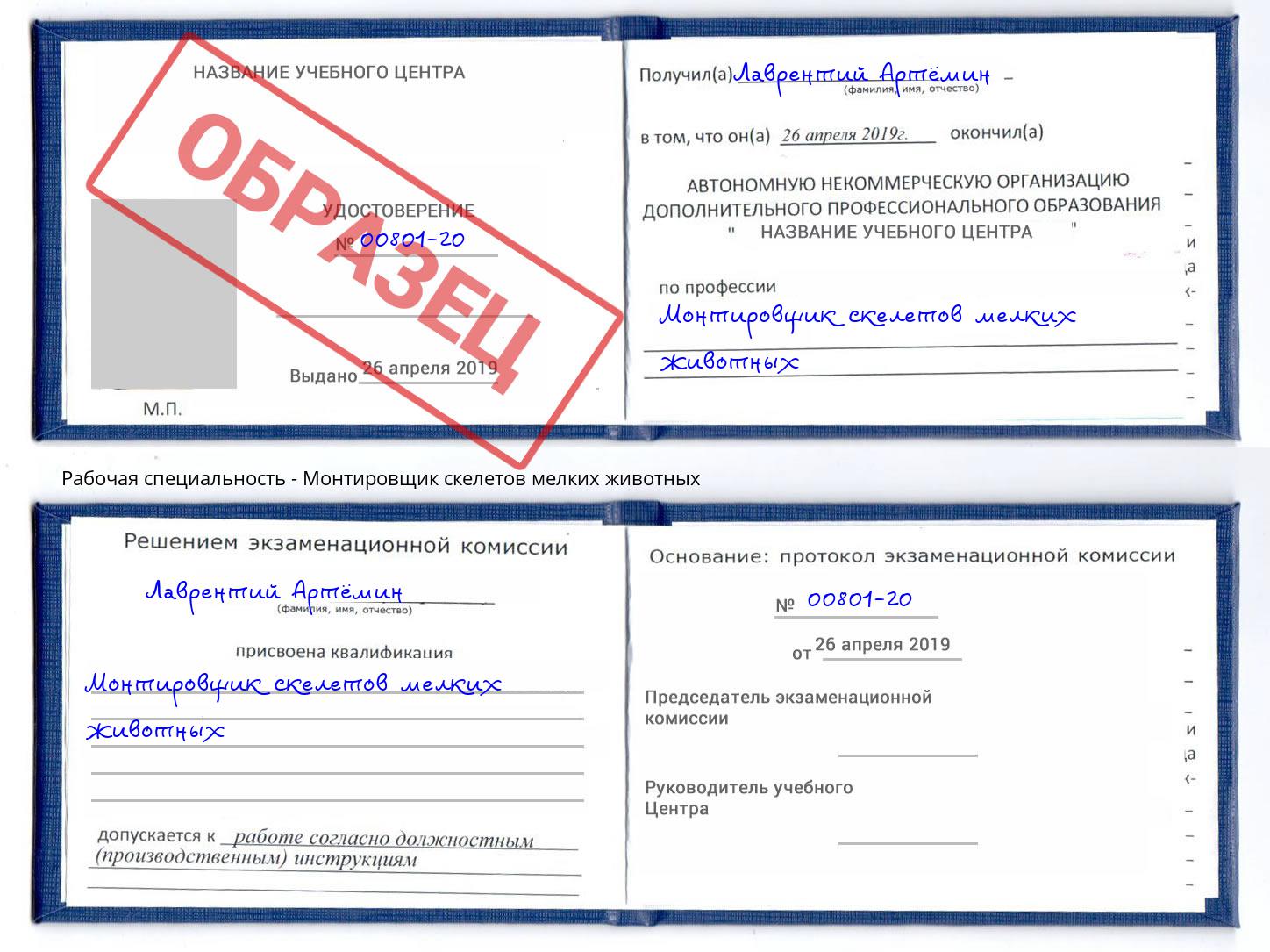 Монтировщик скелетов мелких животных Астрахань