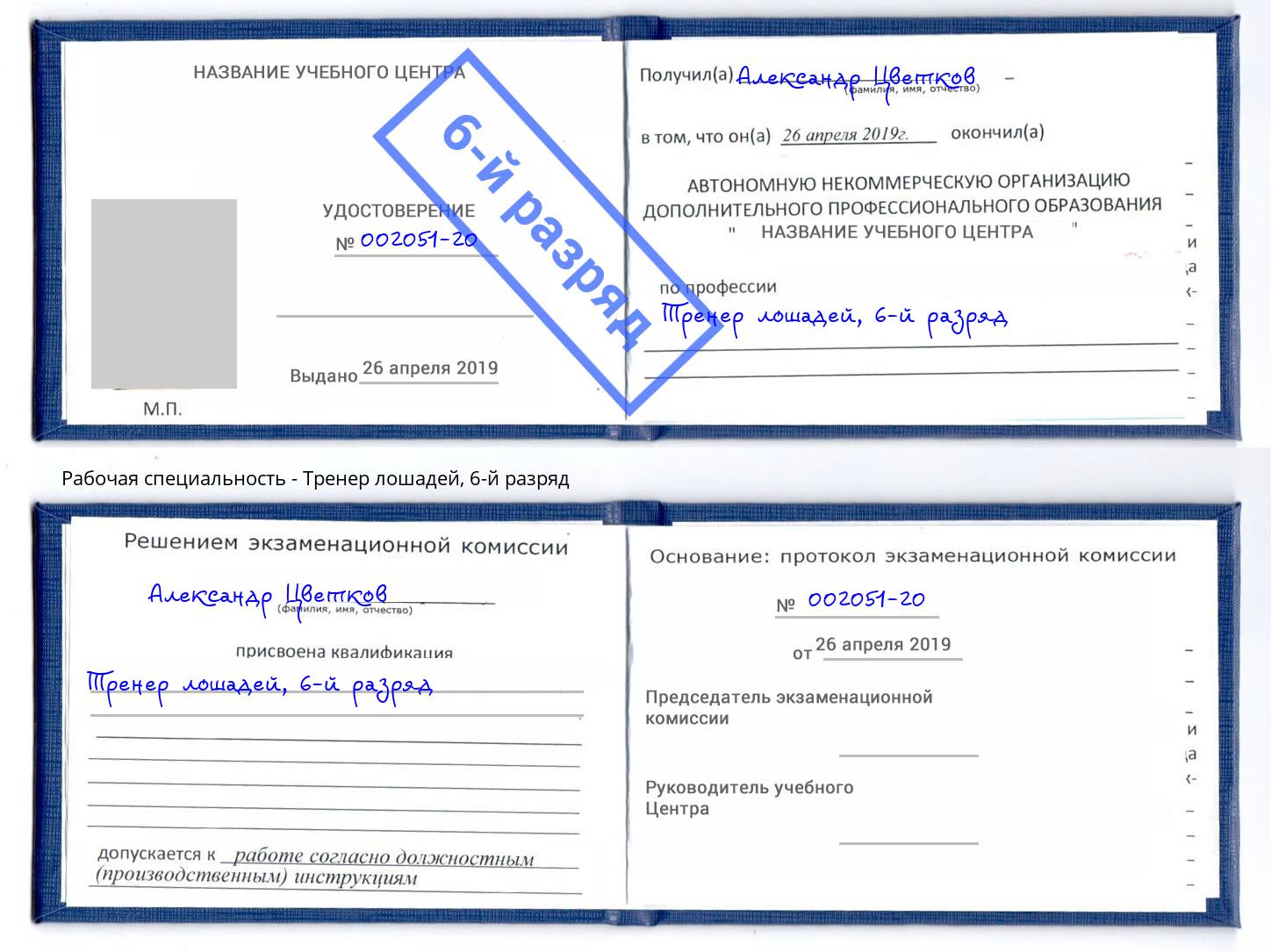 корочка 6-й разряд Тренер лошадей Астрахань